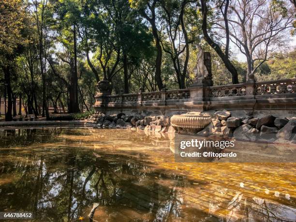 fuente de la templanza in chapultepec park - bosque de chapultepec stockfoto's en -beelden