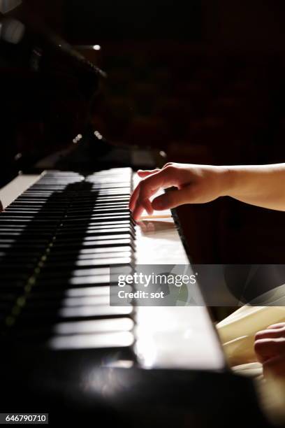 hands of female pianist playing piano,close up - ピアノ ストックフォトと画像