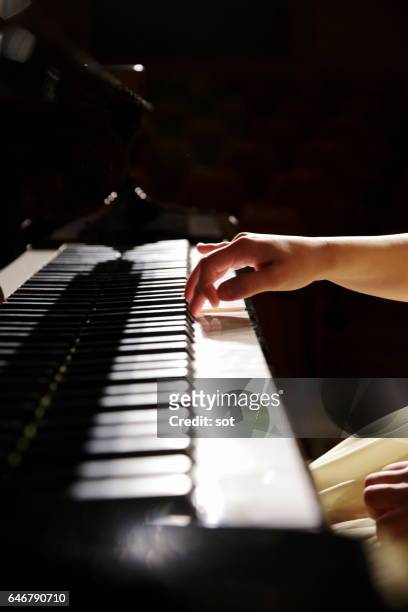 hands of female pianist playing piano,close up - grand piano 個照片及圖片檔