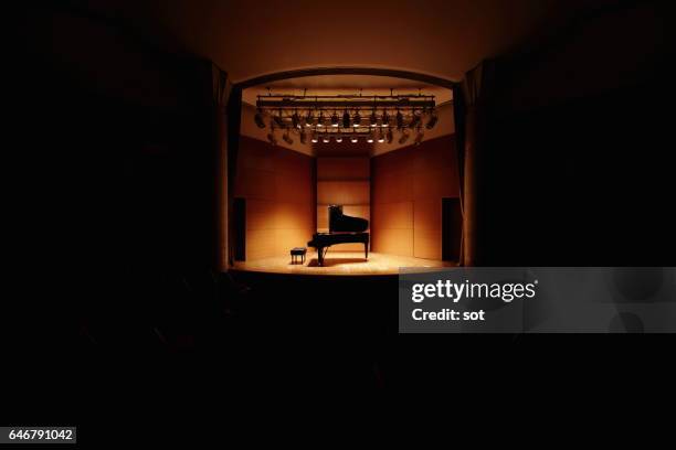 grand piano on concert hall stage - concertgebouw stockfoto's en -beelden
