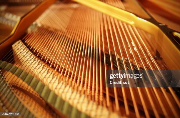 grand piano strings,close up - cuerda de instrumento musical fotografías e imágenes de stock