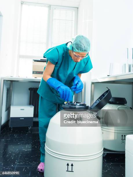 scientist storing a sample in a canister - liquid nitrogen stock pictures, royalty-free photos & images