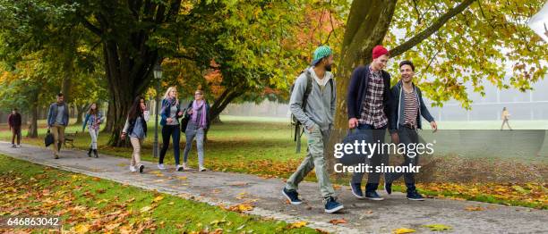 universitaire studenten lopen op voetpad - campus stockfoto's en -beelden