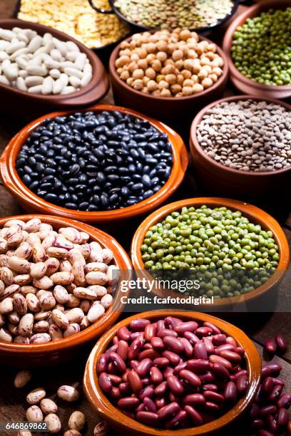 peulvruchten: droge bonen collectie - bean stockfoto's en -beelden