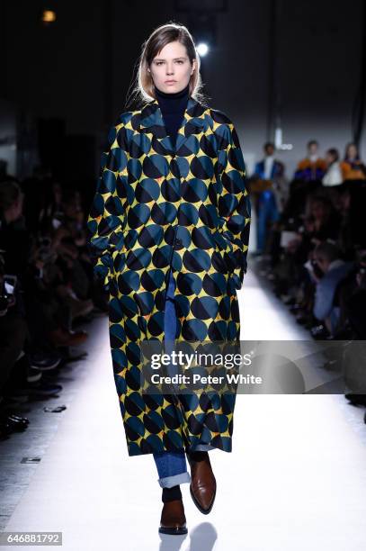 Caroline Brasch Nielsen walks the runway during the Dries Van Noten show as part of the Paris Fashion Week Womenswear Fall/Winter 2017/2018 on March...