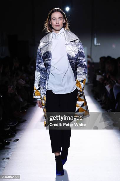 Sylvia van der Klooster walks the runway during the Dries Van Noten show as part of the Paris Fashion Week Womenswear Fall/Winter 2017/2018 on March...