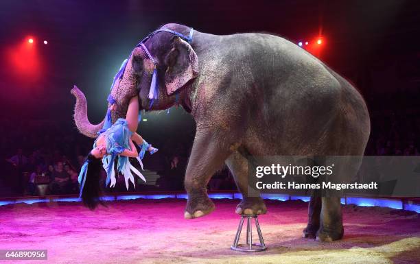 Jana Mandana performs with an elephant during Circus Krone celebrates premiere of 'Krone KUHlinarrisch' at Circus Krone on March 1, 2017 in Munich,...