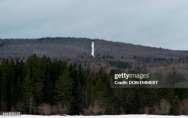 The white line in the trees marks the US/Canada border March 1 near the border town of Chartierville, Quebec. / AFP PHOTO / DON EMMERT