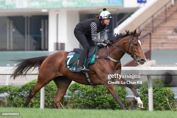 Rider Alexandra Slattery training Rising Romance on the turf course prepare for the Audemars Piguet Queen Elizabeth II Cup at Sha Tin racecourse on...