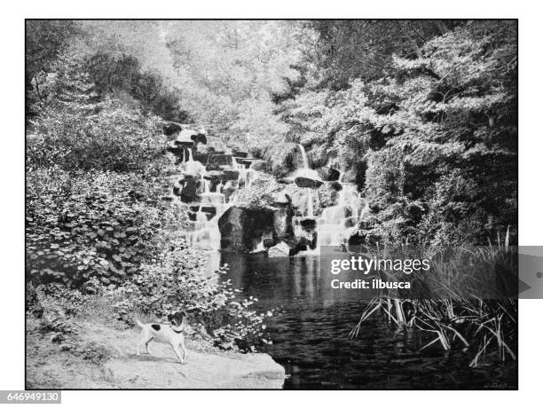 antique london's photographs: the cascade, virginia water - virginia water surrey stock illustrations