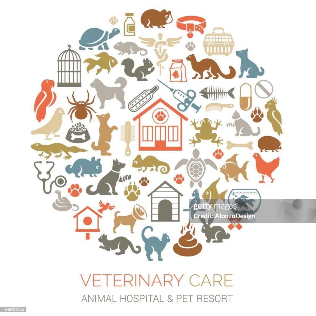 Pets Collage