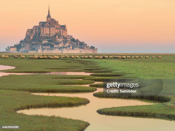 mont saint-michel - chateau france stock pictures, royalty-free photos & images