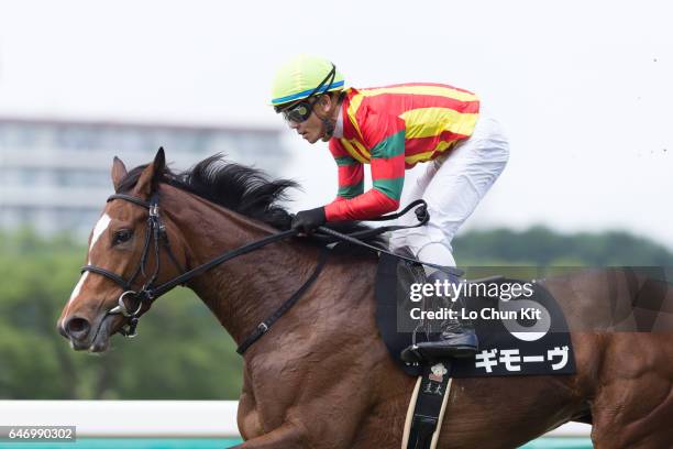 Jockey Keita Tosaki riding Guimauve wins Race 8 Kinosaki Tokubetsu at Hanshin Racecourse on June 26, 2016 in Takarazuka, Japan.