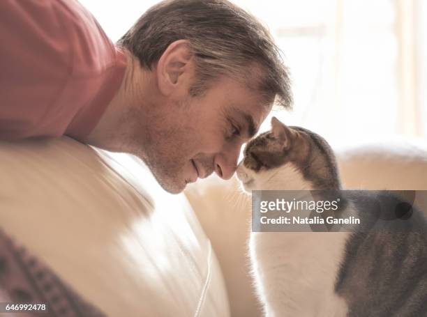 man and his cat together face to face - nuzzling stockfoto's en -beelden