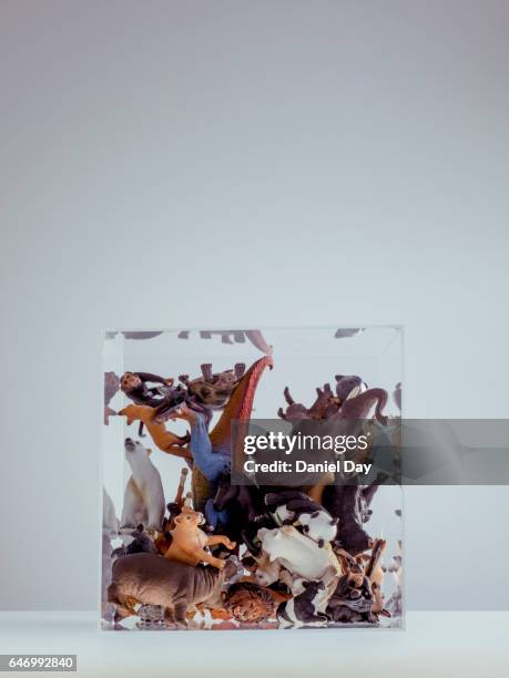 various plastic animals in a perspex cube - toy animal - fotografias e filmes do acervo