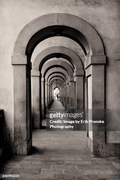 arched passageway - ponte vecchio bildbanksfoton och bilder