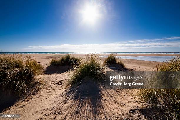 costa de la luz beach - luz solar stockfoto's en -beelden