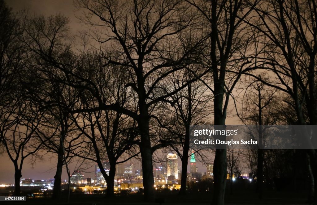 City Skyline through the silhouetted trees