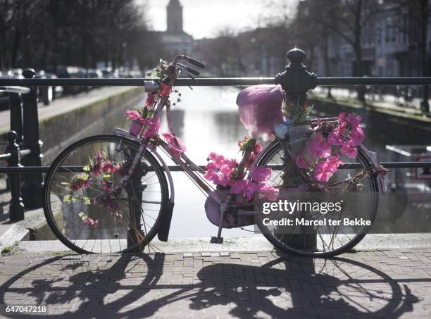 bicycle decorated with pink flowers - amsterdam gracht stockfoto's en -beelden