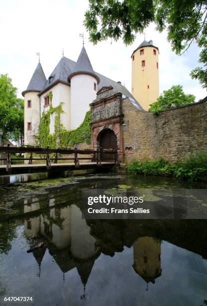 burg rittersdorf (rittersdorf castle), germany - wedding emblem imagens e fotografias de stock