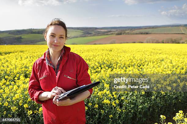 female farmer stood in oil seed rape field - colza foto e immagini stock