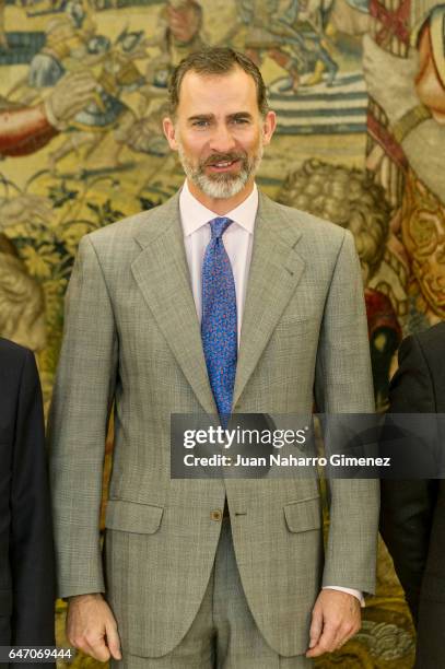 King Felipe VI of Spain receives the representatives of the 'Comite Ejecutivo del Homenaje Universal al Idioma Espanol' at Zarzuela Palace on March...