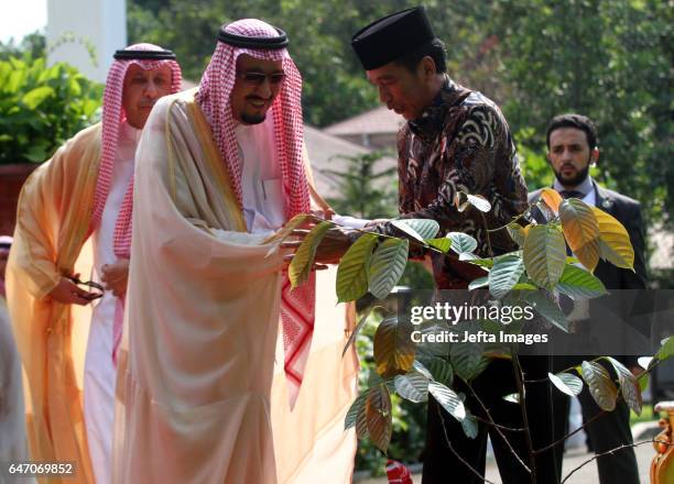 Saudi Arabia's King Salman bin Abdul Aziz accompanied by Indonesia's President Joko Widodo as they plant a tree at the presidential palace on March...