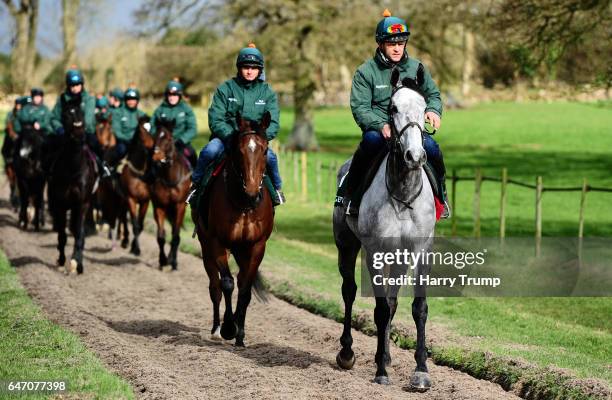 General view as a Horse makes their way down the gallops led by Bristol De Mai during a Nigel Twiston-Davies Stable Visit at Grange Hill Farm on...