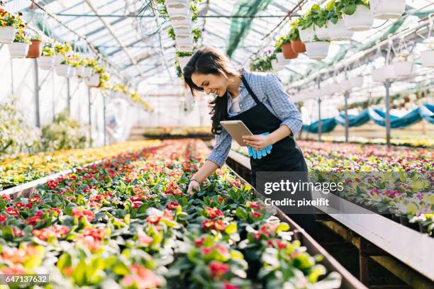 technologie en bloemen - seizoen stockfoto's en -beelden