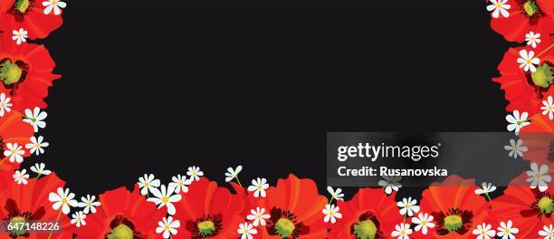 poppies banner - remembrance day banner stock illustrations