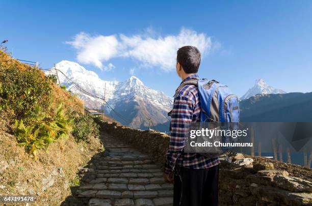 hiker looking to way leading to mountains - machapuchare stock pictures, royalty-free photos & images