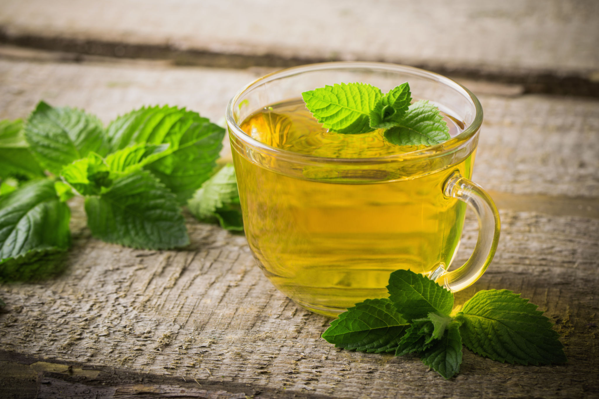 fresh mint tea