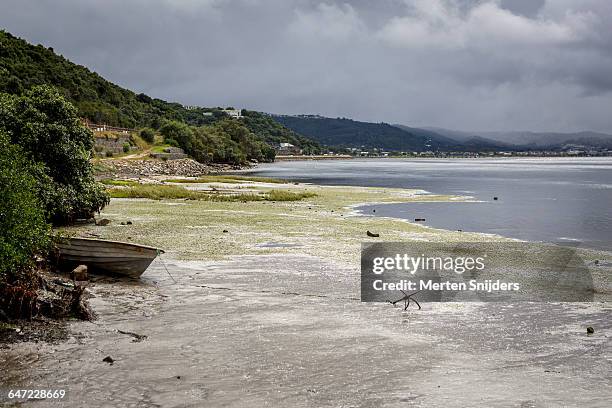 small boat on dry part of knysna lagoon - gloomy swamp stock pictures, royalty-free photos & images