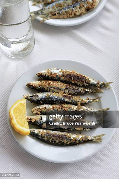 grilled sardines - sardine imagens e fotografias de stock