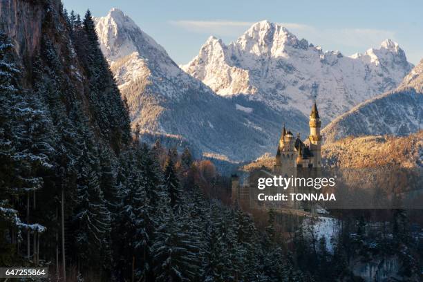 neuschwanstein castle in winter - neuschwanstein winter stock pictures, royalty-free photos & images