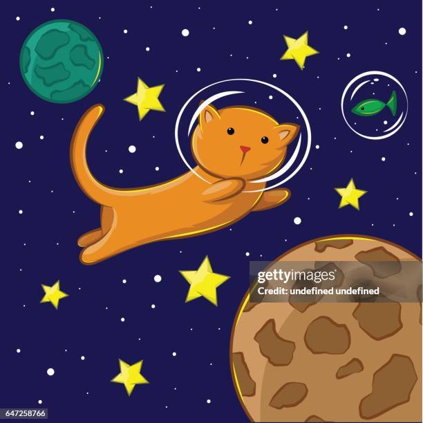 Flying cat in th space