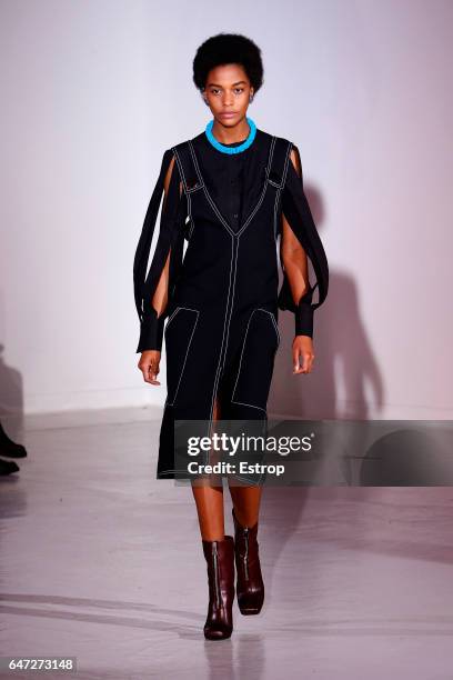 Model walks the runway during the Wanda Nylondesigned by Nana Aganovich show as part of the Paris Fashion Week Womenswear Fall/Winter 2017/2018 on...