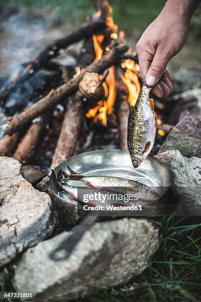 Man Frying Fish Man Frying Fish Photos and Premium High Res Pictures - Getty Images