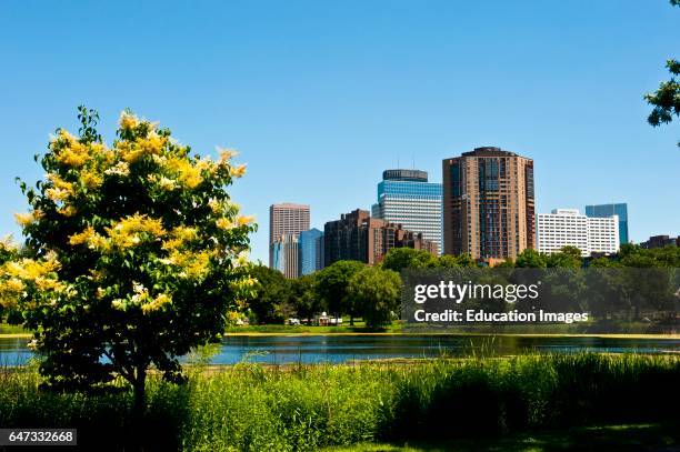 North America, USA, Minnesota, Minneapolis Skyline from Loring Park.