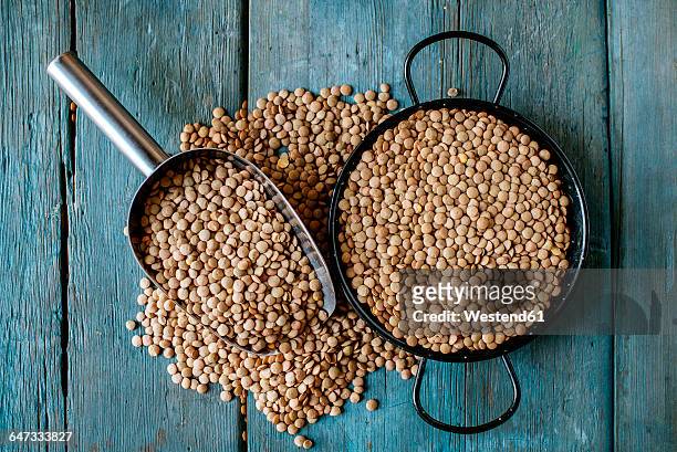 skillet and metal scoop with dried brown lentils on wood - linse stock-fotos und bilder