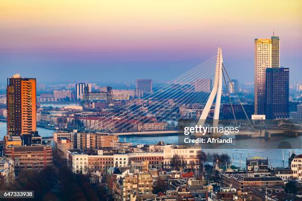 rotterdam, netherlands - rotterdam netherlands stock pictures, royalty-free photos & images