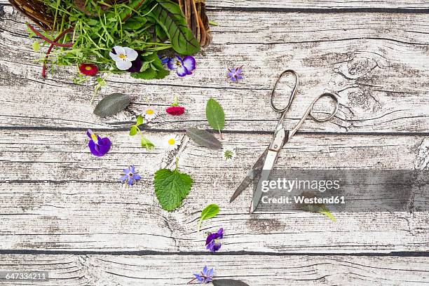 different wild herbs and edible flowers - roquette photos et images de collection