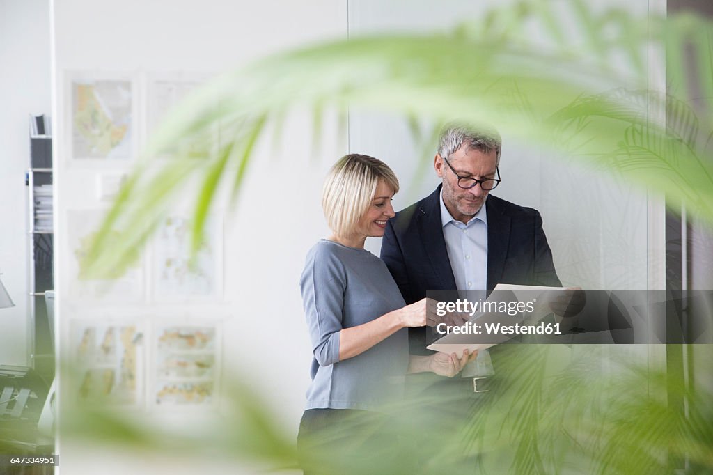 Businessman and woman working together in office discussing documents