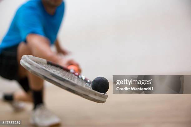 serbia, squash, man playing squash - squash racquet fotografías e imágenes de stock