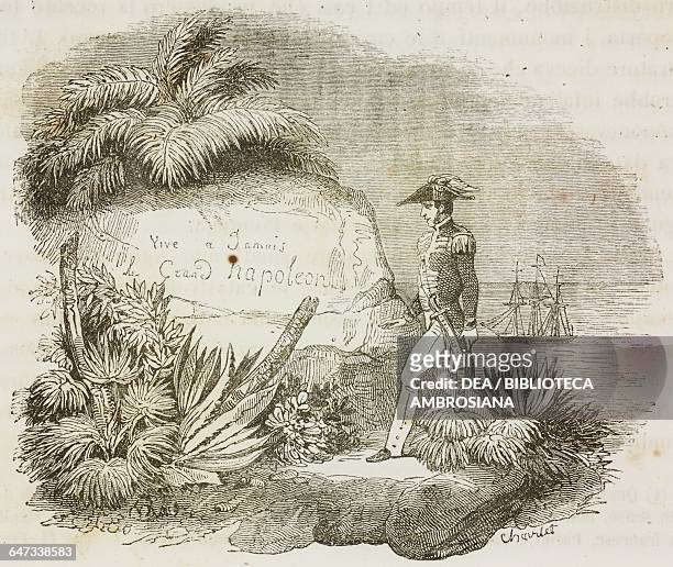 An English captain coming across the engraving on a rock on Ascension Island which reads Napoleon the Great will live forever, illustration from the...