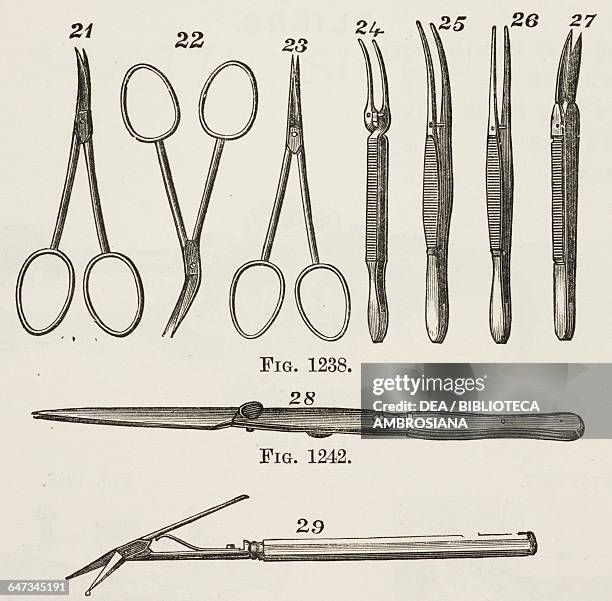 16 Dissecting Instruments Dissecting Instrument Photos and Premium High Res Pictures - Getty Images