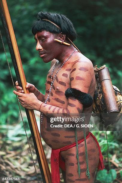 Yanomami man with body painting and traditional ornaments, The Amazon rainforest, Venezuela.