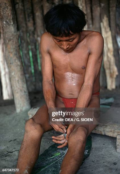 Yanomami man preparing epena , The Amazon rainforest, Venezuela.