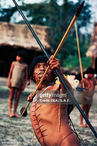 Yanomami man with with body painting taking aim with a bow and arrow, The Amazon rainforest, Venezuela.
