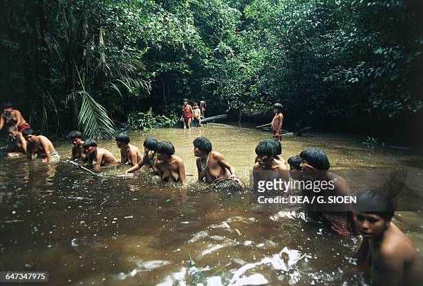 Yanomami tribe fishing in the lagoon, The Amazon rainforest, Venezuela.